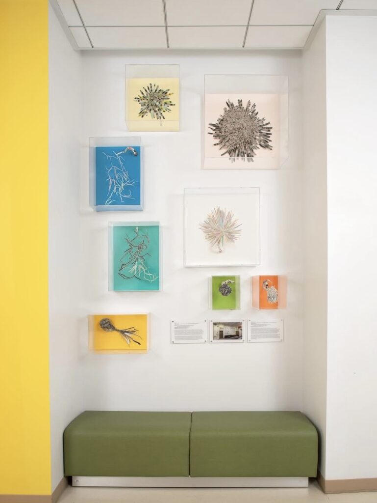 art installation using plex boes  framed by Underglass custom framing in San Francisco