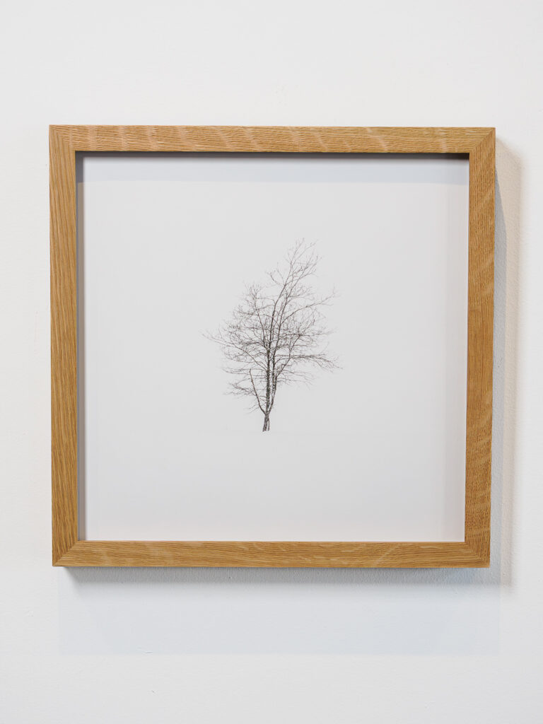 Minimalist winter tree photograph custom framed in warm oak frame with spacers and Optium Museum Acrylic at Underglass frame shop in San Francisco
