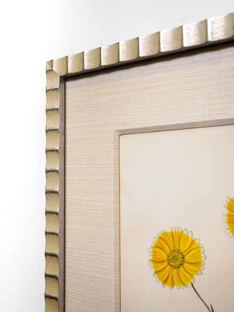Close-up of heavy linen fabric mat with beveled opening and scalloped antique silver frame, botanical art framing San Francisco Underglass
